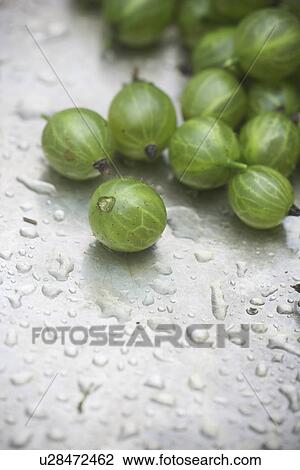 Stock Image - Crop, Cultivated, Day, Drupes, Edible. Fotosearch