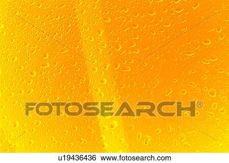 Stock Photograph - drops, tiny, small, driblets, wet, wetness. Fotosearch
