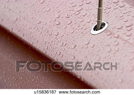Stock Photo - raindrops, drops, background, pattern, droplets, water droplets. Fotosearch