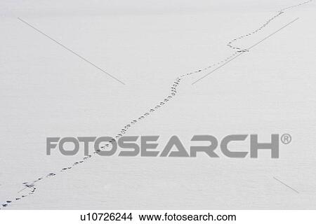 Picture - background, climate, appearance. Fotosearch
