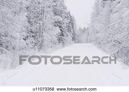 Bare Tree, Forest, Frozen, Land View Large Photo Image Stock Photo - Bare Tree, Forest, Frozen, Land. Fotosearch