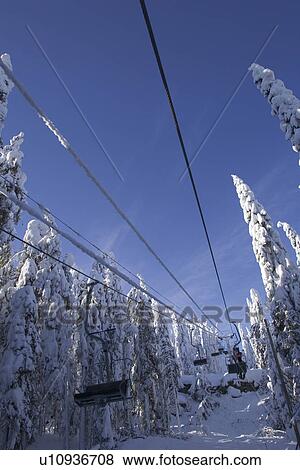 Stock Photo - Blue, Clear Sky, Covering, Day, Evergreen Tree. Fotosearch