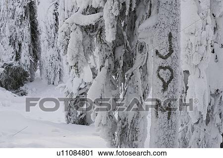 Capital Letter, Day, Curve, Covering, Alphabet View Large Photo Image Stock Image - Capital Letter, Day, Curve, Covering, Alphabet. Fotosearch