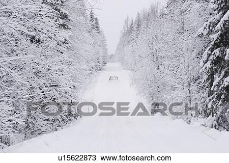 Car, Covering, Day, Forest View Large Photo Image Stock Image - Car, Covering, Day, Forest. Fotosearch
