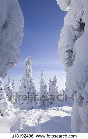 Stock Photograph - Clear Sky, Covering, Day, Non-Urban Scene. Fotosearch