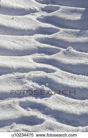 Stock Photography - Close-Up, Cold, Day, Full Frame. Fotosearch