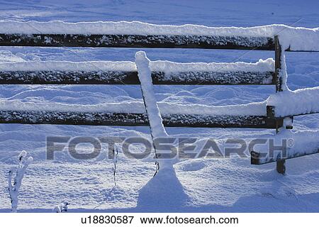 Close-Up, Covering, Day, Fence, Frozen View Large Photo Image Stock Photo - Close-Up, Covering, Day, Fence, Frozen. Fotosearch
