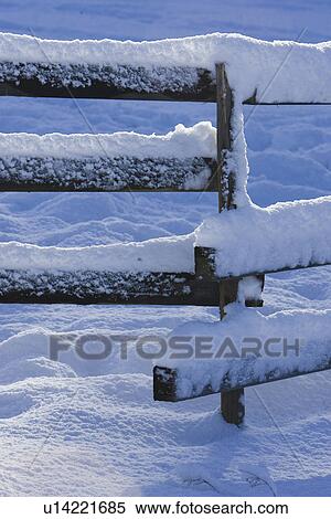 Stock Photography - Close-Up, Covering, Day, Fence, Frozen. Fotosearch