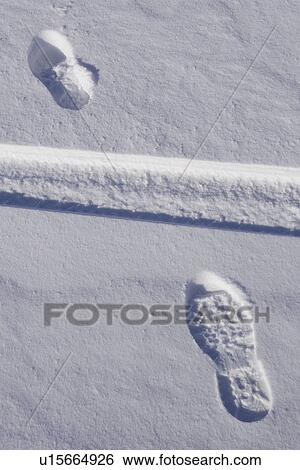 Stock Photograph - Close-Up, Day, Footprint, Ice. Fotosearch