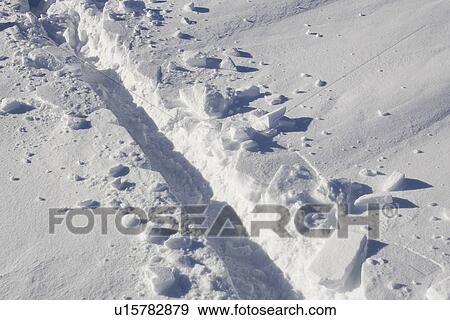 Close-Up, Day, Full Frame View Large Photo Image Stock Photo - Close-Up, Day, Full Frame. Fotosearch