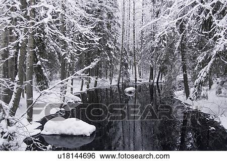 Stock Photograph - Cold, Covering, Day, Generic Location. Fotosearch