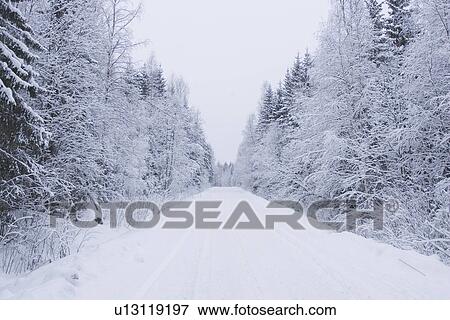 Stock Photo - Covering, Day, Horizon. Fotosearch