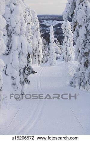 Stock Image - Covering, Day, Non-Urban Scene, Outdoors. Fotosearch
