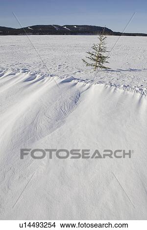 Picture - Day, Distant, Horizon Over Land, Mountain Range. Fotosearch