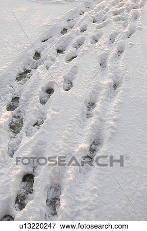 Stock Photo - Day, Footprint, Outdoors. Fotosearch