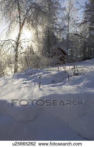 Stock Image - Day, Forest, Hut, Non-Urban Scene. Fotosearch