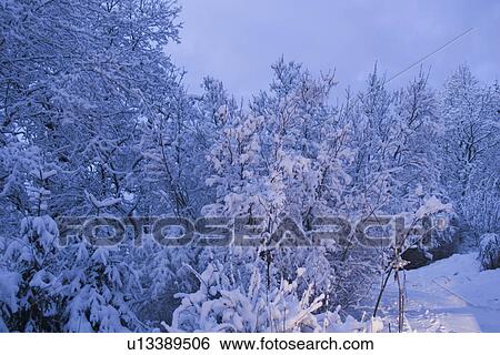 Stock Photograph - Day, Generic Location, Non-Urban Scene. Fotosearch