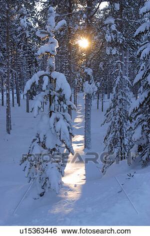 Stock Photograph - storm, winter, snow, blizzard, freeze, autumn. Fotosearch