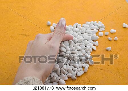 Stock Image - Background, Close-Up, Collecting, Collection, Female, Hard. Fotosearch