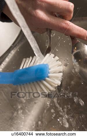 Picture - Basin, Bristles, Brush, Clean, Function. Fotosearch