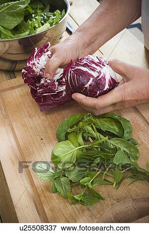 Cabbage, Cutting Board, Foodstuff, Fresh, Green Vegetables View Large Photo Image Stock Photo - Cabbage, Cutting Board, Foodstuff, Fresh, Green Vegetables. Fotosearch