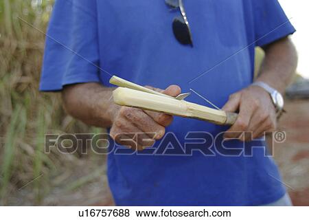 Stock Photo - cane, chopping, agriculture. Fotosearch