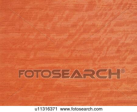 Stock Image - Photography of cherry wood grain, Close Up. Fotosearch
