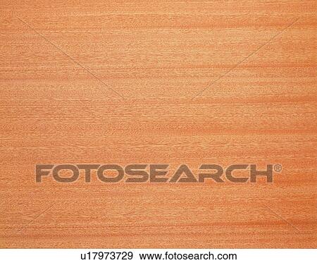 Photography of cherry wood grain, Close Up View Large Photo Image Stock Photo - Photography of cherry wood grain, Close Up. Fotosearch