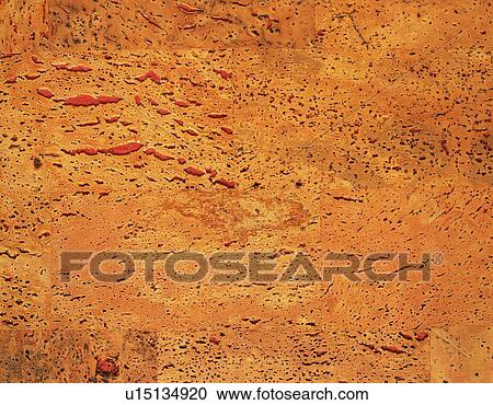 Stock Image - Photography of cork wood grain, Close Up. Fotosearch