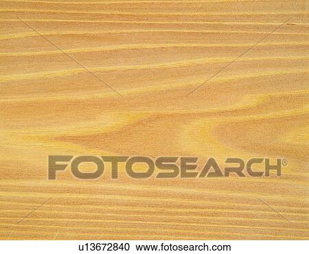 Stock Image - Photography of elm wood grain, Close Up. Fotosearch