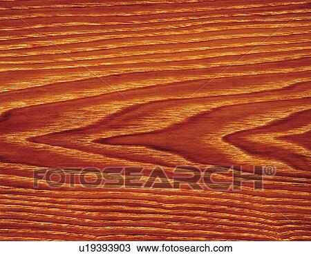 Photography of fragrant olive wood grain, Close Up View Large Photo Image Stock Image - Photography of fragrant olive wood grain, Close Up. Fotosearch