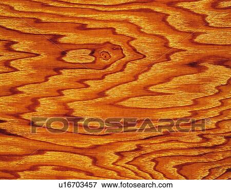Stock Photo - Photography of fragrant olive wood grain, Close Up. Fotosearch