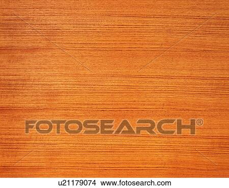 Photography of Japanese cedar wood grain, Close Up View Large Photo Image Picture - Photography of Japanese cedar wood grain, Close Up. Fotosearch