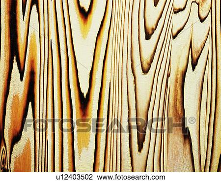 Photography of Japanese cedar wood grain, Close Up View Large Photo Image Stock Image - Photography of Japanese cedar wood grain, Close Up. Fotosearch