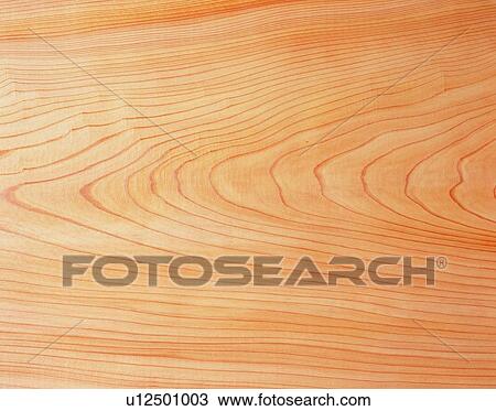 Photography of Japanese cedar wood grain, Close Up View Large Photo Image Stock Image - Photography of Japanese cedar wood grain, Close Up. Fotosearch