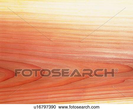 Stock Image - Photography of Japanese cedar wood grain, Close Up. Fotosearch
