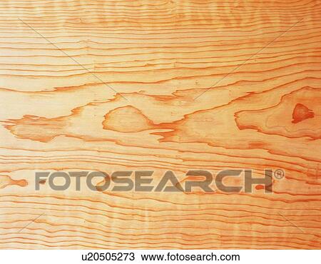 Stock Image - Photography of Japanese cedar wood grain, Close Up. Fotosearch