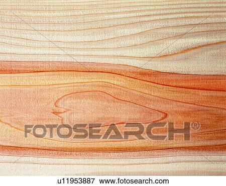 Photography of Japanese cedar wood grain, Close Up View Large Photo Image Stock Photo - Photography of Japanese cedar wood grain, Close Up. Fotosearch