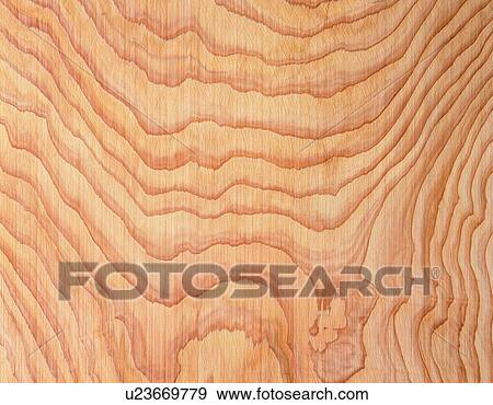 Stock Photo - Photography of Japanese cedar wood grain, Close Up. Fotosearch
