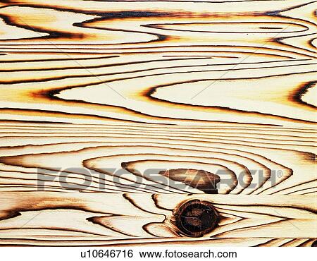 Photography of Japanese cedar wood grain, Close Up View Large Photo Image Stock Photograph - Photography of Japanese cedar wood grain, Close Up. Fotosearch