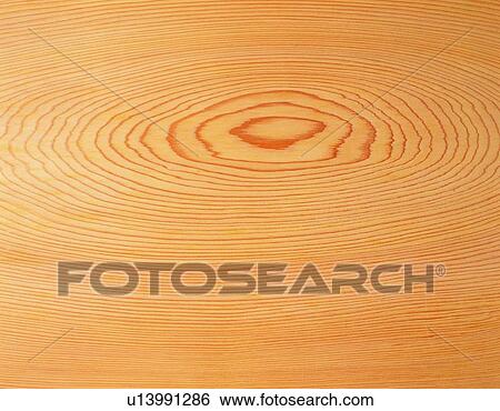 Photography of Japanese cedar wood grain, Close Up View Large Photo Image Stock Photograph - Photography of Japanese cedar wood grain, Close Up. Fotosearch