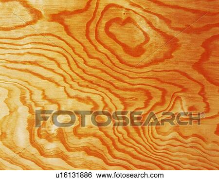 Photography of Japanese cedar wood grain, Close Up View Large Photo Image Stock Photograph - Photography of Japanese cedar wood grain, Close Up. Fotosearch