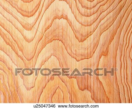 Stock Photograph - Photography of Japanese cedar wood grain, Close Up. Fotosearch
