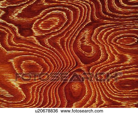 Photography of oak wood grain, Close Up View Large Photo Image Stock Photograph - Photography of oak wood grain, Close Up. Fotosearch