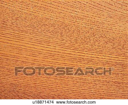 Photography of paulownia wood grain, Close Up View Large Photo Image Picture - Photography of paulownia wood grain, Close Up. Fotosearch