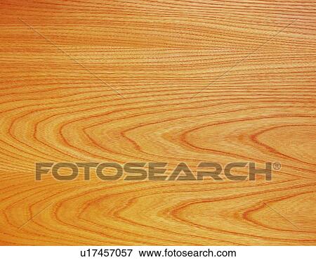 Photography of paulownia wood grain, Close Up View Large Photo Image Stock Photo - Photography of paulownia wood grain, Close Up. Fotosearch