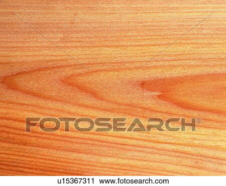 Stock Image - Photography of pine wood grain, Close Up. Fotosearch