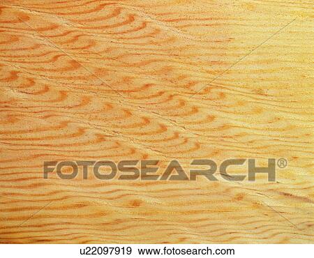 Stock Photo - Photography of pine wood grain, Close Up. Fotosearch