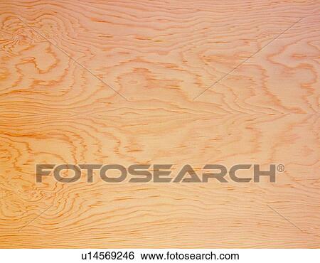 Stock Photograph - Photography of pine wood grain, Close Up. Fotosearch
