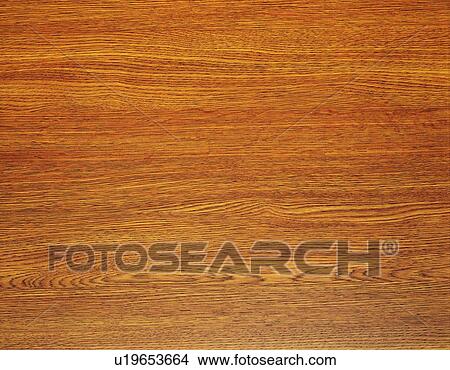 Picture - Photography of wood grain, Close Up. Fotosearch